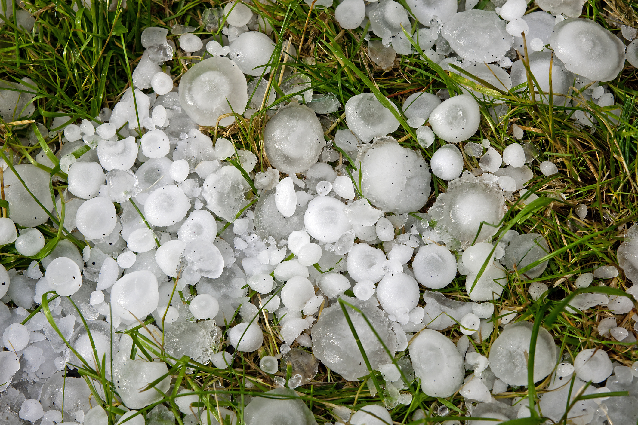 Great balls of hail Advanced Exteriors